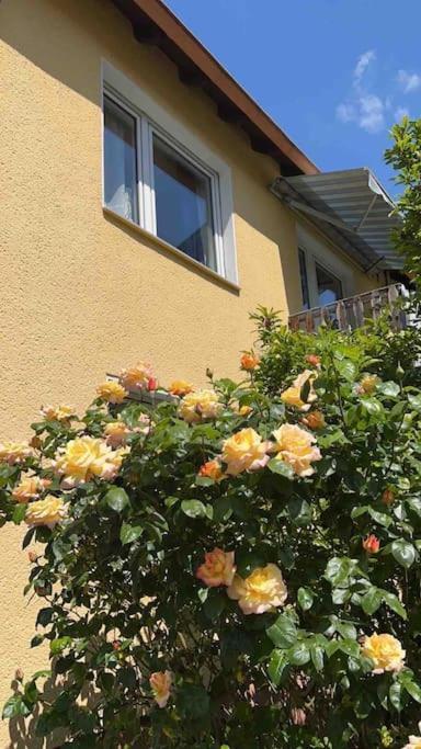 Duesseldorf Messe And Airport, 2-Bedroom Apartment With Kitchen And Garden دوسبرغ المظهر الخارجي الصورة