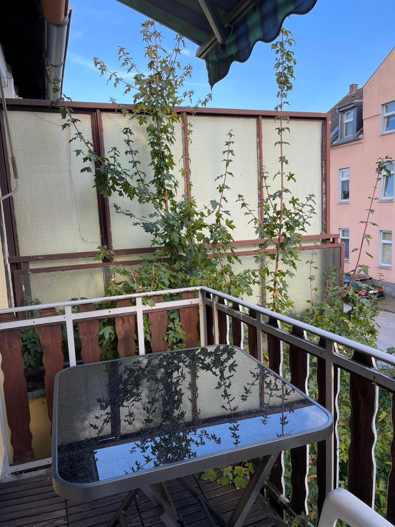 Duesseldorf Messe And Airport, 2-Bedroom Apartment With Kitchen And Garden دوسبرغ المظهر الخارجي الصورة